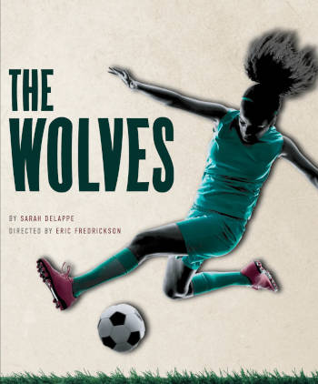 WolvesArtworkSmall